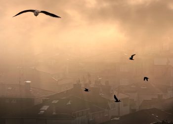 Türkiye’nin en kirli havaya sahip illeri belli oldu