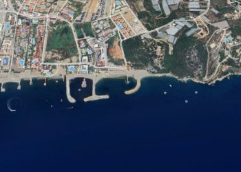 ‘Akdeniz’in akciğerleri’ yok oluyor