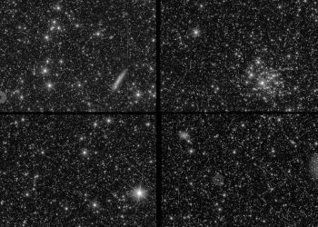 Euclid Teleskobu, ilk fotoğraflarını Dünya’ya yolladı