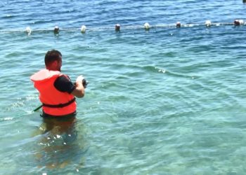 İstanbul’da plajlar temiz mi? Sonuçlar belli oldu