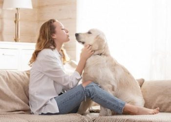 4 Ekim Hayvanları Koruma Günü: Hayvan hakları neler?